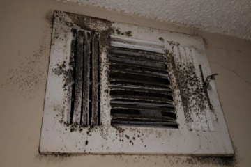 mold in hvac